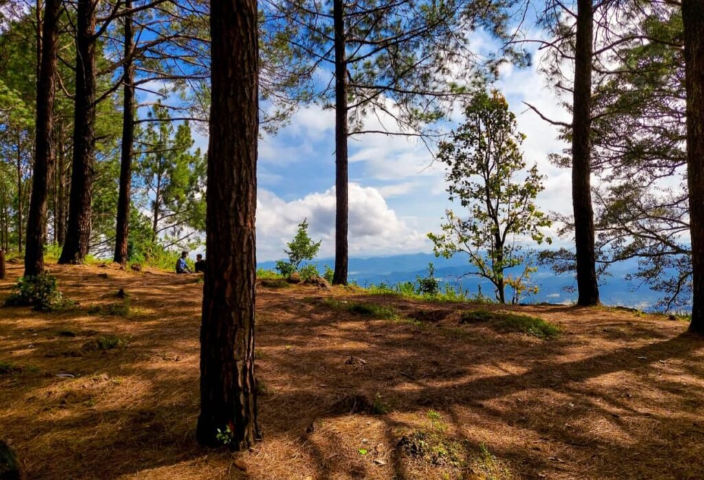 Jharkhand tourism growth showcasing waterfalls, forests, temples, and tourist attractions attracting 5.85 crore visitors.